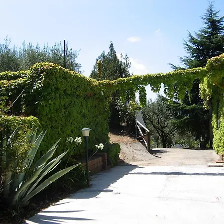 Ferienhaus Uliveto