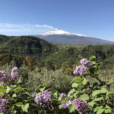 Uliveto Holiday home