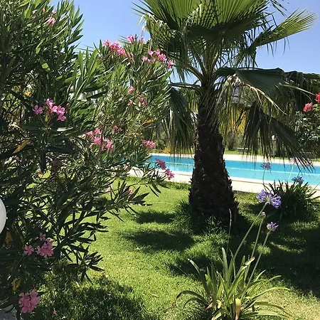 Uliveto Francavilla di Sicilia
