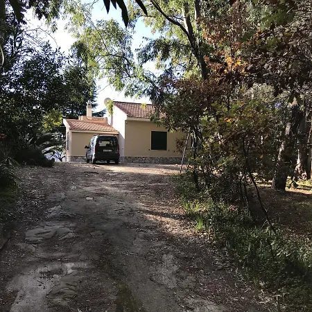 Uliveto Holiday home