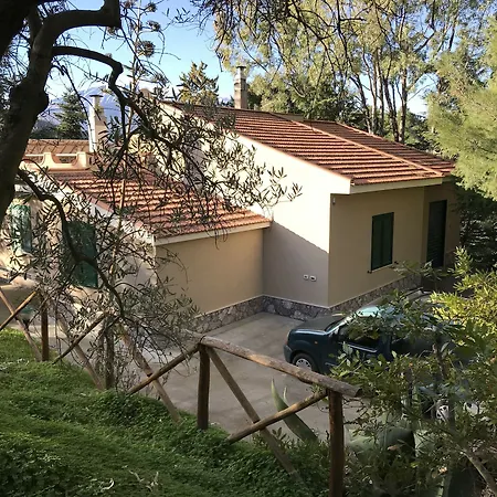 Uliveto Holiday home